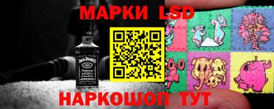хмурый Сланцы